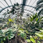 First Deutschland Ticket Outing: Palmengarten Frankfurt