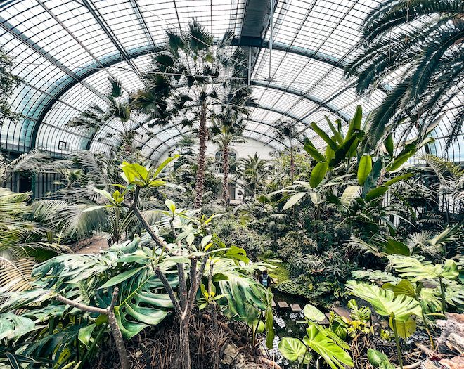 First Deutschland Ticket Outing: Palmengarten Frankfurt