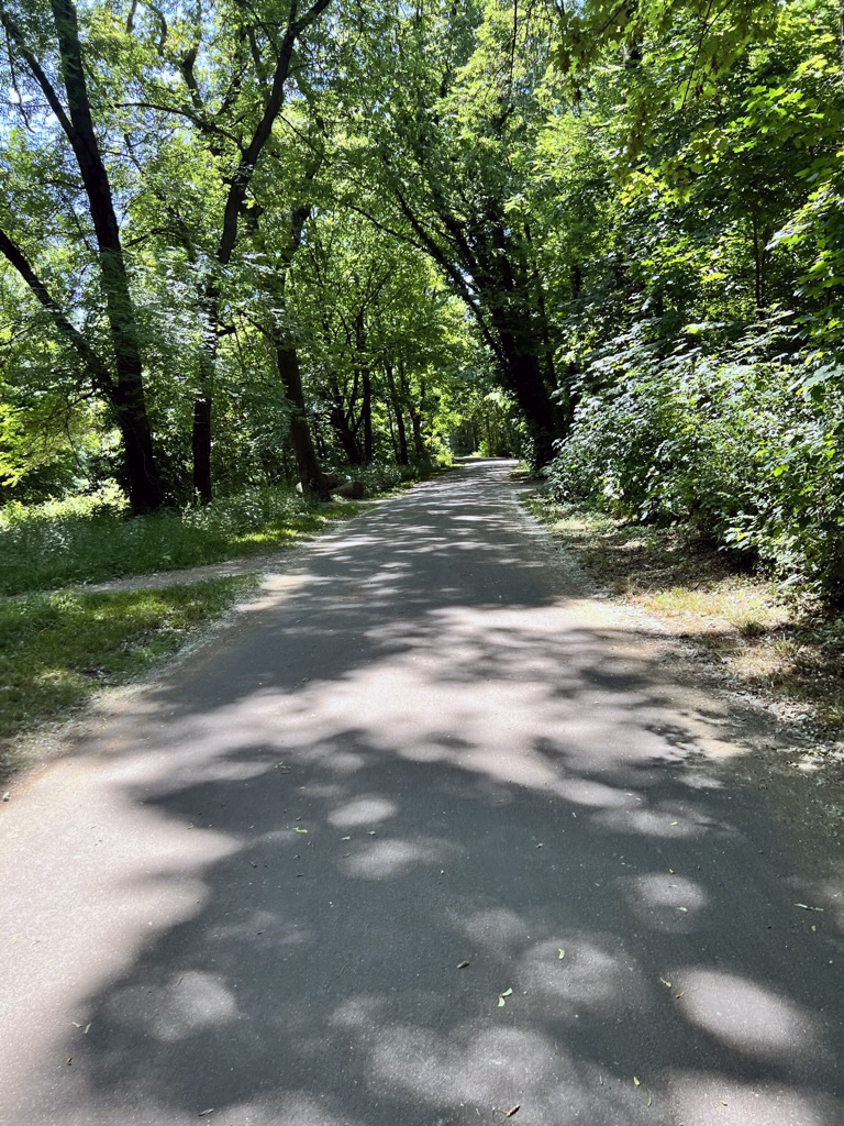 D22a3b1d 2bb9 4048 8f8a 5b8ddbc83bd9 1 105 C