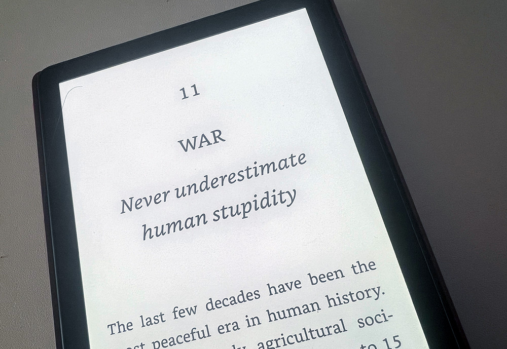 War: never underestimate human stupidity