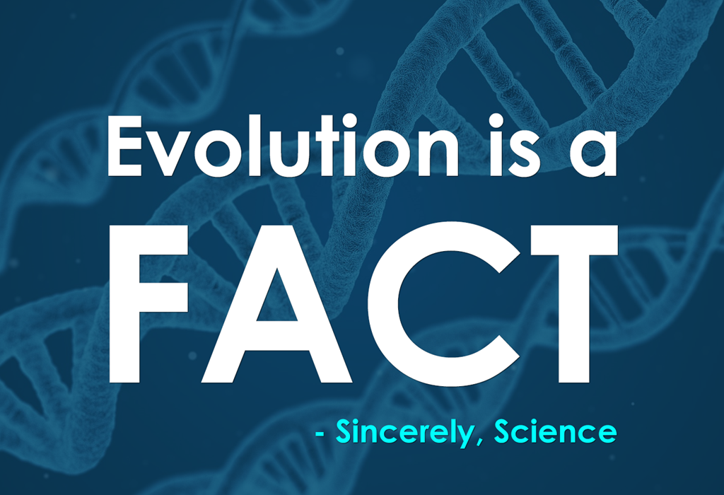 Evolution Is A Fact